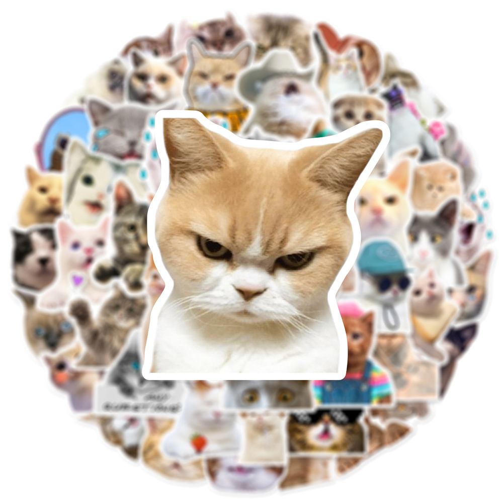 10/30/50pcs Cute Cat Meme Stic - Phone Cases Wholesale 评论和价格