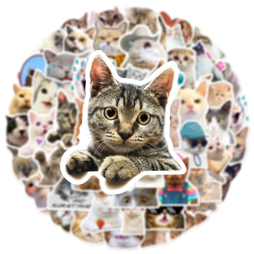 10/30/50pcs Cute Cat Meme Stic - Phone Cases Wholesale 评论和价格