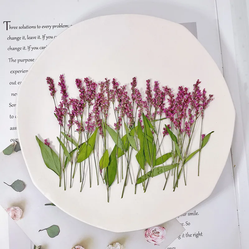120pcs,5-8cm,Wholesale Nature  - Phone Cases Wholesale 评论和价格