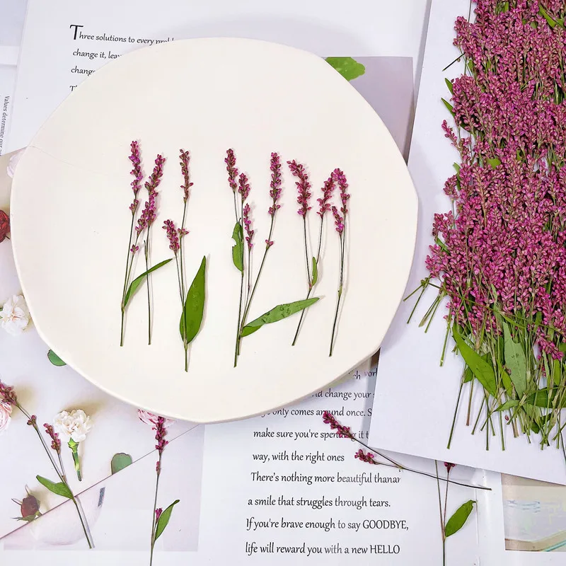 120pcs,5-8cm,Wholesale Nature  - Phone Cases Wholesale 评论和价格